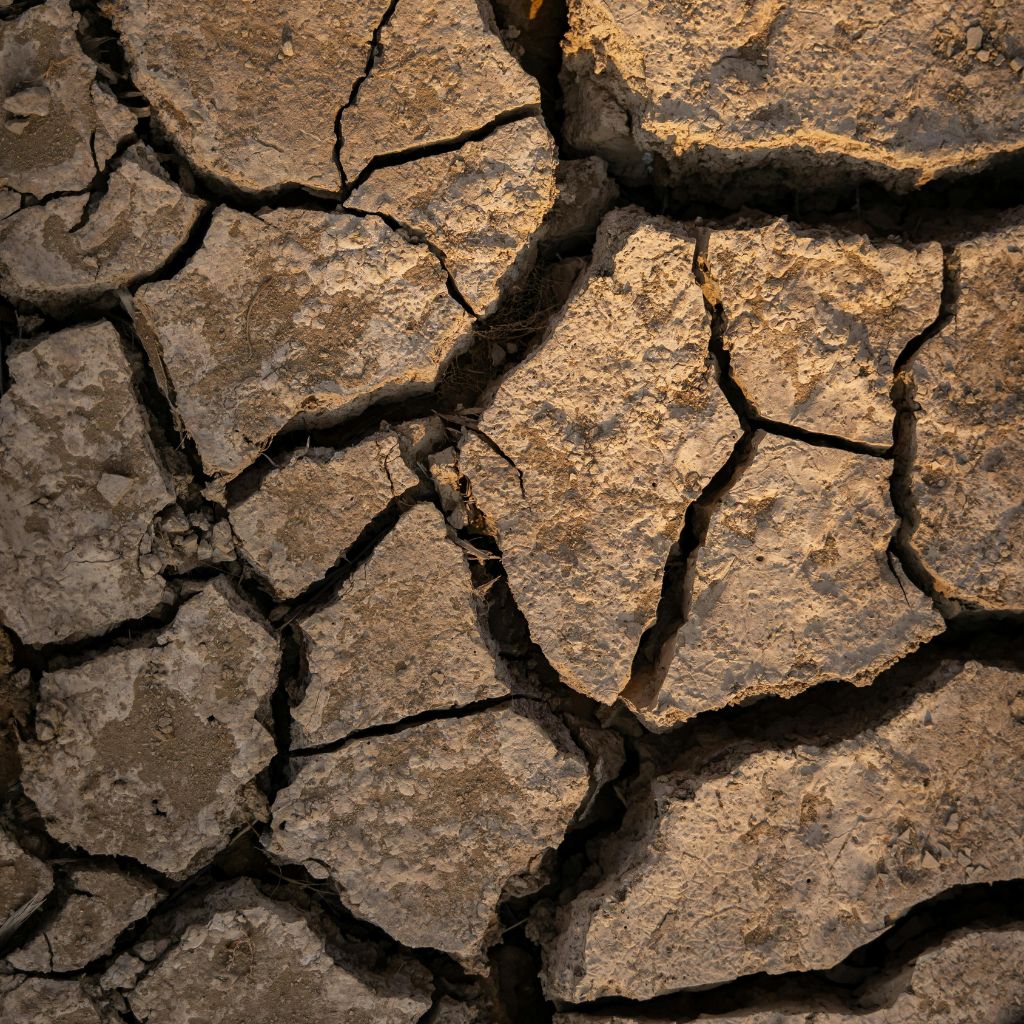 Návrh bez názvu (56)